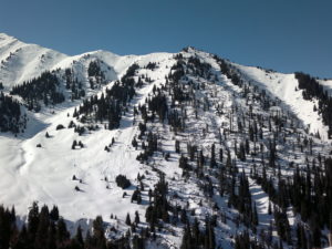 090220131214