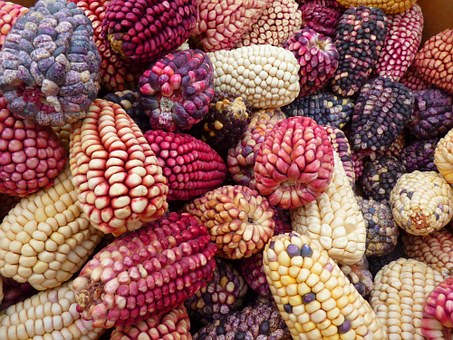 Ernährungssouveränität und Degrowth