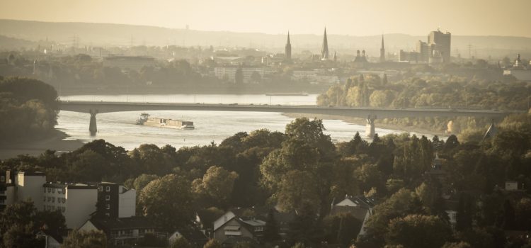COP 23: Statements & Pressekontakte von System Change!