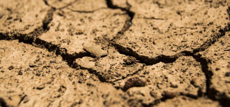 Hitzesommer 2018: Warum die mediale Debatte nichts an der Klimapolitik ändert