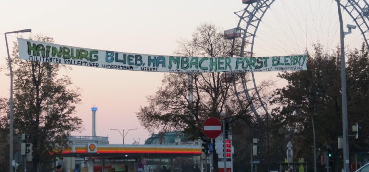 Hainburg blieb, Hambacher Forst bleibt!
