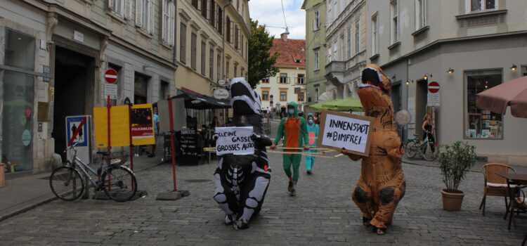 Der Grazer Betonbürgermeister und sein Klimakillerprojekt