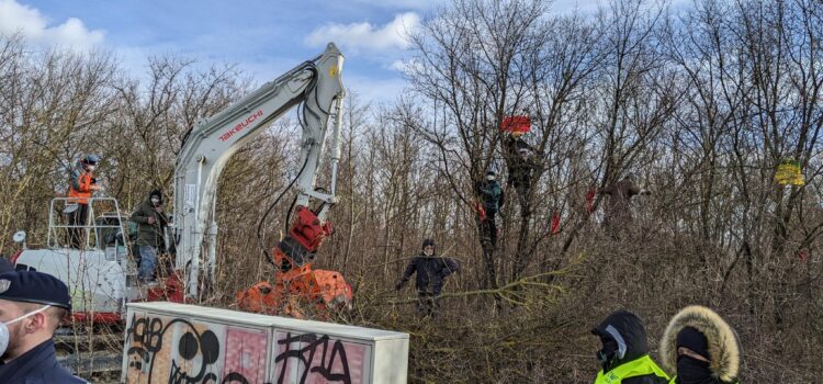 Presseaussendung: Lobaubleibt: Während Räumung gleichzeitig massive Rodungen für Autobahnbau Presseaussendung: Lobaubleibt: Während Räumung gleichzeitig massive Rodungen für Autobahnbau