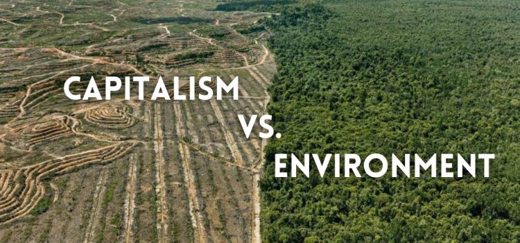 Capitalism vs. Environment