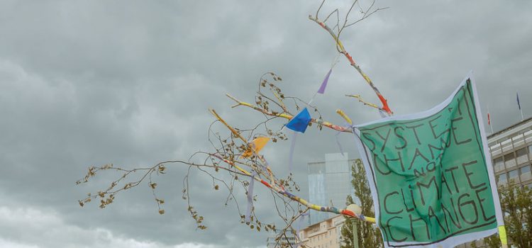Raus aus dem Winterschlaf: Wie kommt die Klimabewegung aus der Krise? Raus aus dem Winterschlaf: Wie kommt die Klimabewegung aus der Krise?