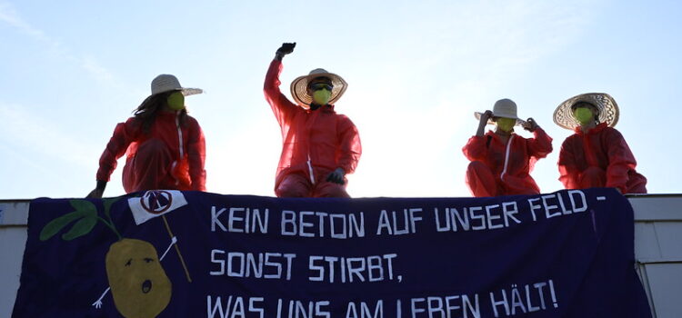 Presseaussendung – Ostumfahrung: Mit rebellischem Gemüse Baustelle blockiert Presseaussendung – Ostumfahrung: Mit rebellischem Gemüse Baustelle blockiert